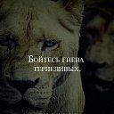 ���� ���������, ������-��-����, 51 ��� - ��������� 9 ������ 2017 � ������ ������ ��������