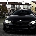 ���� ����, ��������, 44 ���� - ��������� 16 �������� 2016