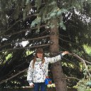 ���� �����, ������, 35 ��� - ��������� 17 �������� 2016 � ������ ��� ������� ������� ����� 2016�