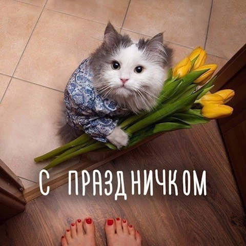  , , !    ,   !      ...