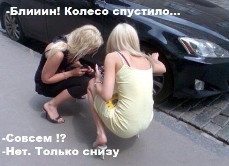 * * *.   :)  :  ,   .   ...