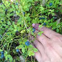 ������� �� ������� ����� 2016�