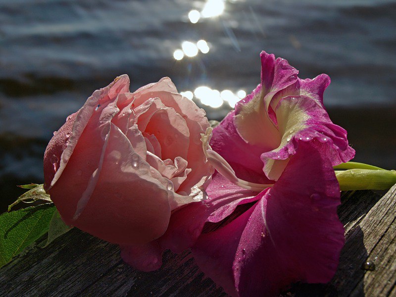 ������ ����� �����...