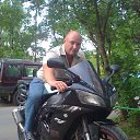 ���� �������, ������������, 49 ��� - ��������� 13 ������� 2017 � ������ ���� ����������