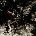 ���� �������, ������� - ��������� 9 ����� 2017 � ������ ������ ��������