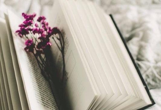 Интересная подборка книг для свободного времени.1. Морис Метерлинк –