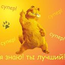 ���� �����, ������ - ��������� 25 ������ 2017 � ������ ���� ����������