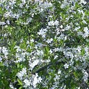 ���� Yusoup, ������, 70 ��� - ��������� 1 ������ 2017 � ������ ���� ����������