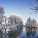 ���� ��������, �������, 41 ��� - ��������� 12 ������� 2017 � ������ ���� ����������