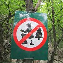 ���� ����, ������� - ��������� 27 ������ 2017 � ������ ���� ����������