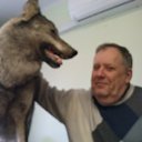 ���� ���������, ������, 71 ��� - ��������� 5 ������ 2017 � ������ ���� ����������