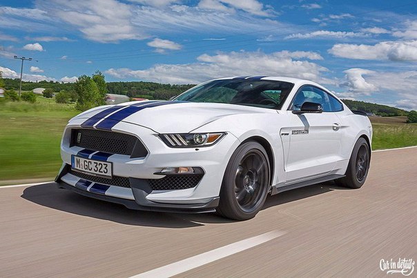 Shelby GT350 Mustang '2016