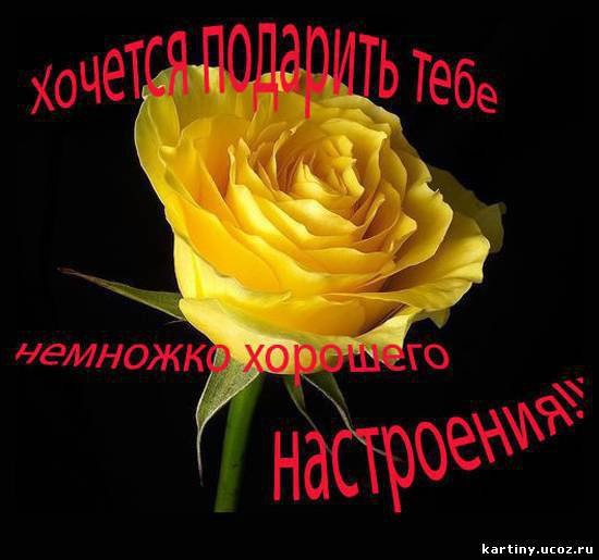  - 15  2016  04:11