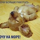 ���� ������, ����, 67 ��� - ��������� 8 ������ 2016 � ������ ������ ��������