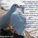 ���� ������, ���� - ��������� 16 ������ 2016 � ������ ���� ����������