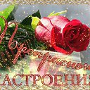 ���� ��������, ���������, 78 ��� - ��������� 2 ����� 2017 � ������ ���� ����������