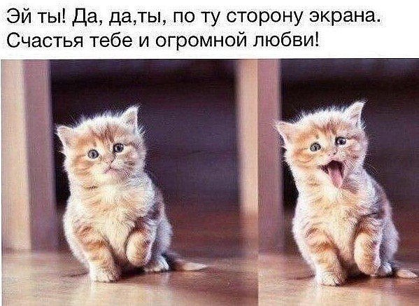 Когда ты влюблён, ты ведёшь себя как идиот, но ты счастливый идиот.