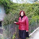 ���� �������, ���������, 73 ���� - ��������� 29 �������� 2016 � ������ ���� ����������