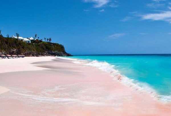      : Pink Sands Beach,  ,  .  ,  ... - 3