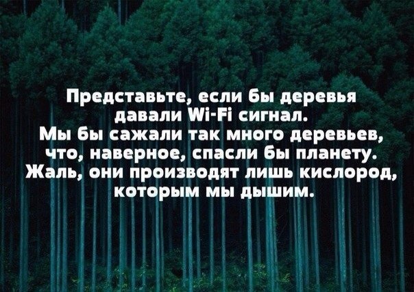 LIFE -  - 4  2016  08:27