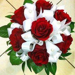 ���� ��������, ��������, 65 ��� - ��������� 7 ������ 2016