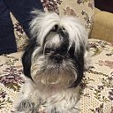 ���� ���� �-238, ������ - ��������� 3 ������ 2017 � ������ ���� ����