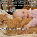 ���� ������, ���������, 72 ���� - ��������� 2 ����� 2017 � ������ ������ ��������