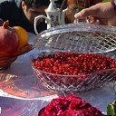  ,  -  14  2016       ̻