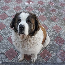 ���� �����, ������� - ��������� 15 ������ 2017