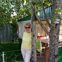 ���� �������, ������� - ��������� 24 ������� 2016