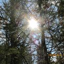 ���� �., ������, 64 ���� - ��������� 30 ������� 2016 � ������ ��������