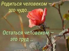 ))).Встречи в жизни у нас Неслучайны, пойми!Если ближний упал, Ты его подними«Да он сам виноват!» — ...