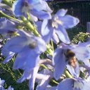 ���� ��������, ������ - ��������� 12 ������� 2016 � ������ ���� ������