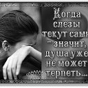 ���� �������, �����-��������� - ��������� 13 �������� 2016