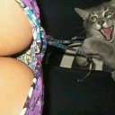 ���� ����, �������, 48 ��� - ��������� 21 �������� 2016