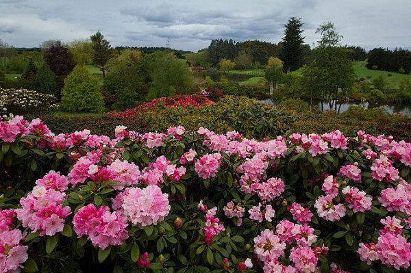 ))).�������������� ��� Maple Glen � ����� �������� �������������� ��� Maple Glen ���������� � ����� ... - 4