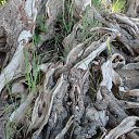 ���� �����, �����-���������, 62 ���� - ��������� 22 ������ 2016 � ������ ���� ����������