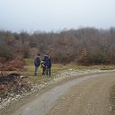  ,  -  15  2017              70     ӻ