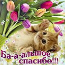  ,  -  2  2017   2017