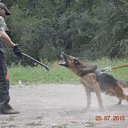 ���� Miss, ������, 49 ��� - ��������� 13 ������� 2017 � ������ ���� Bodyguard,��� ������ �������� �������������