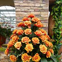 ���� ������, ��������, 59 ��� - ��������� 14 ����� 2017 � ������ ���� ����������