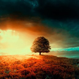 �������, ���������������, 25 ���