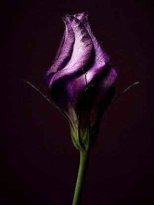 Art & Fun - 28  2016  22:39 - 2