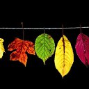 ���� �����, ����� - ��������� 21 �������� 2016 � ������ ������ ��������