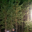 ���� �����, �����, 40 ��� - ��������� 28 ������ 2016 � ������ ���� ����������