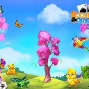 ���� ������, ����, 48 ��� - ��������� 9 ����� 2017 � ������ �������� �������-�������