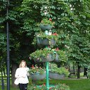 ���� ����, ��������, 49 ��� - ��������� 3 ������ 2016 � ������ ���� ����������