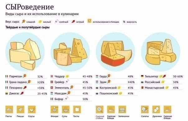 Различный вид значков шаржа сыра в собрании комплекта для дизайна Сеть запаса си