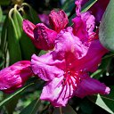 22.05.2016 �� ������� �������� ������������ ���.�