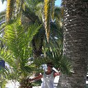 ���� ������, ������, 62 ���� - ��������� 24 ����� 2017